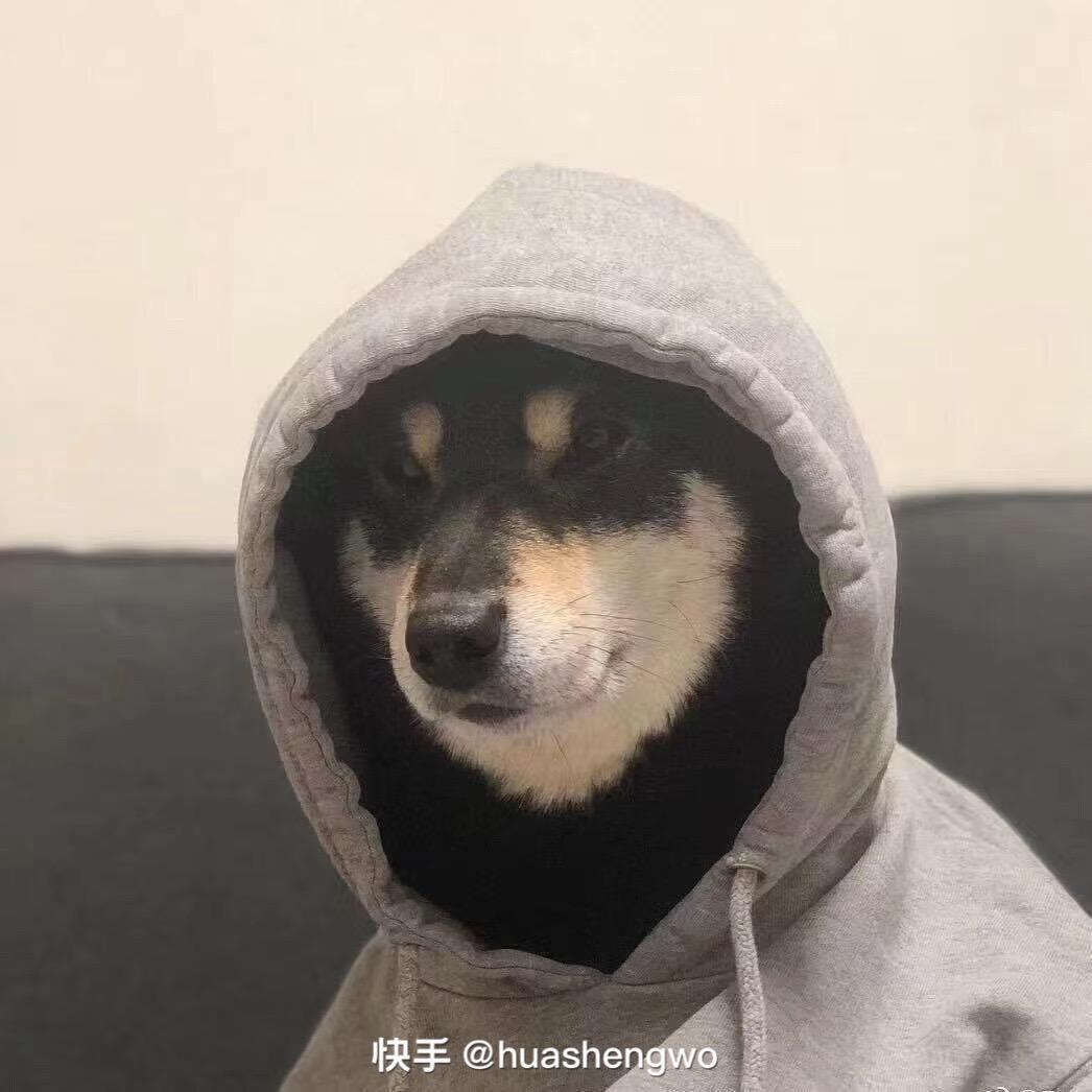 濮阳闫大爷