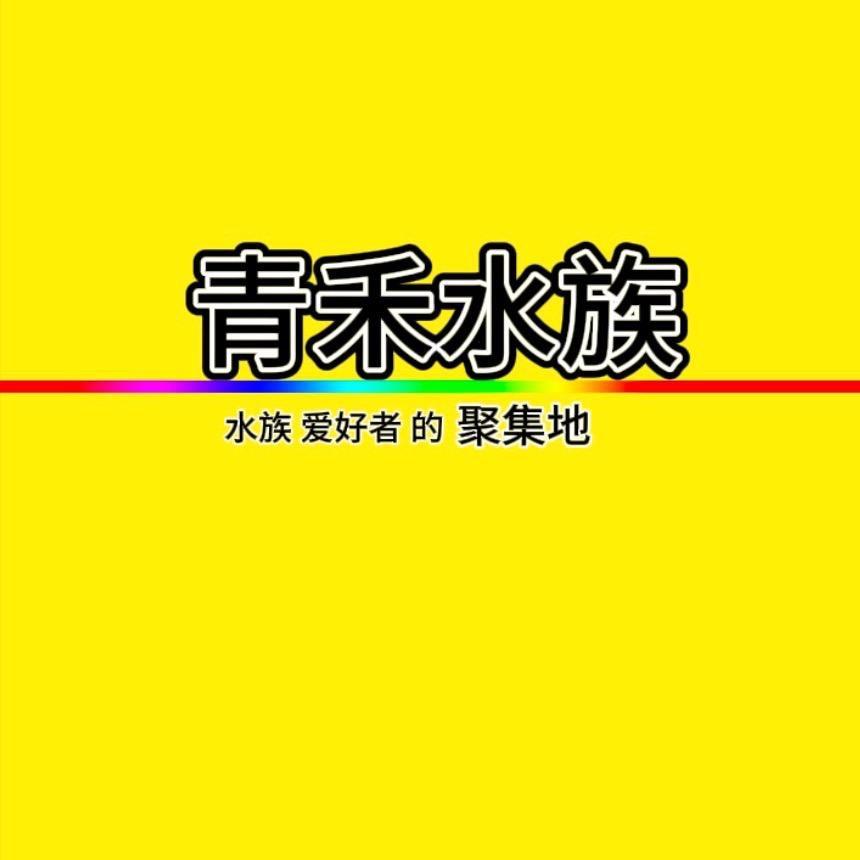 青禾水族馆