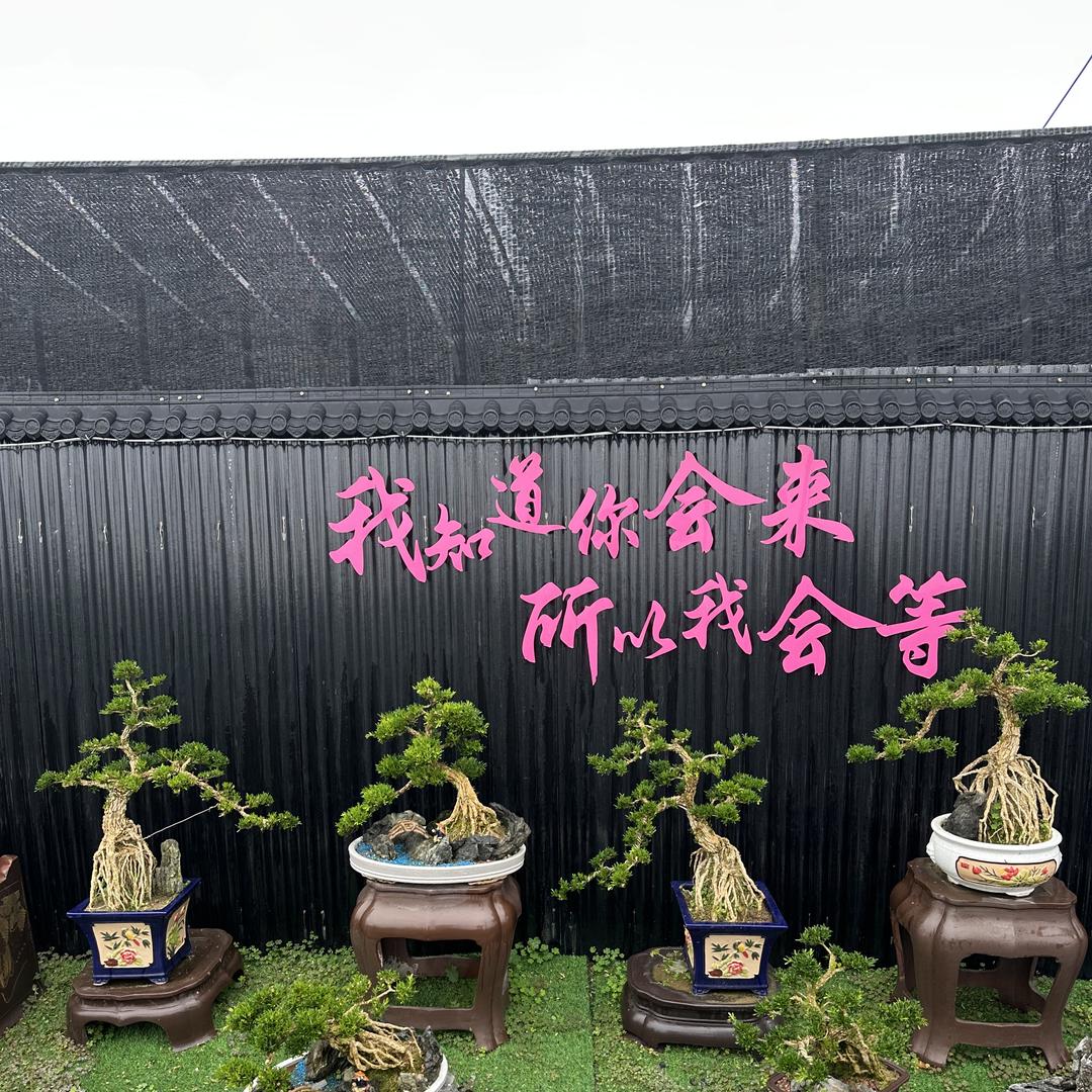 桂景缘花卉店