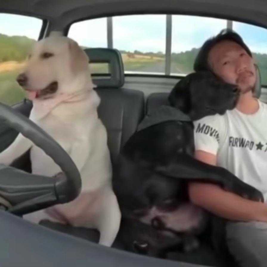 弘宇阿慷批车