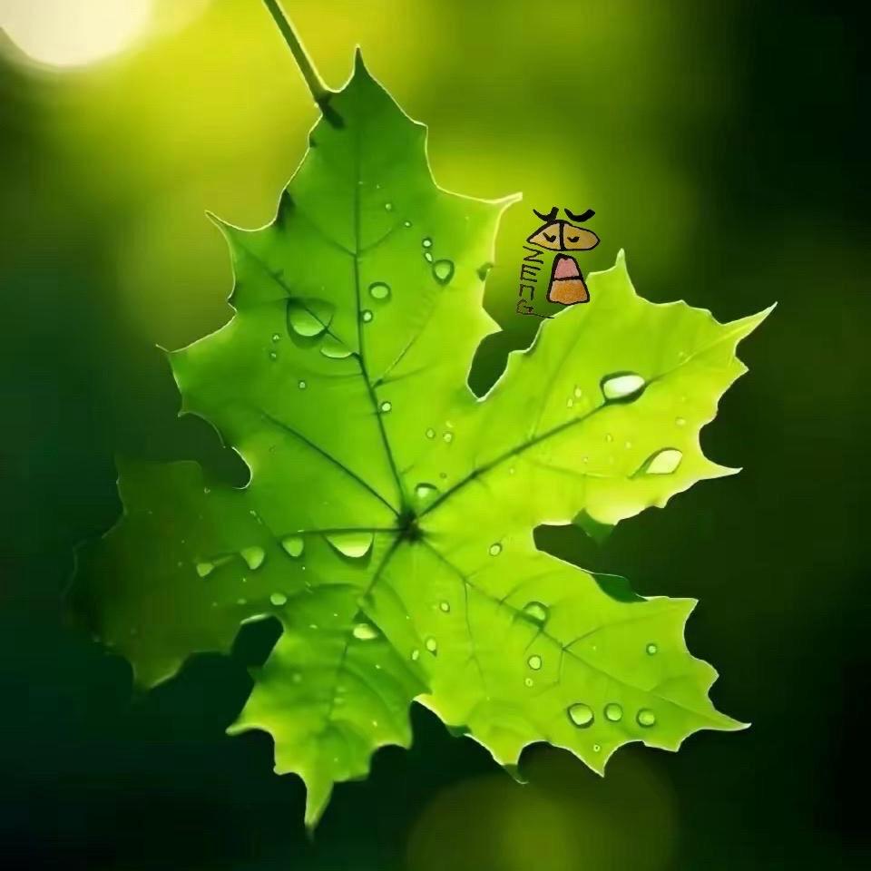 @十月🍁❤️