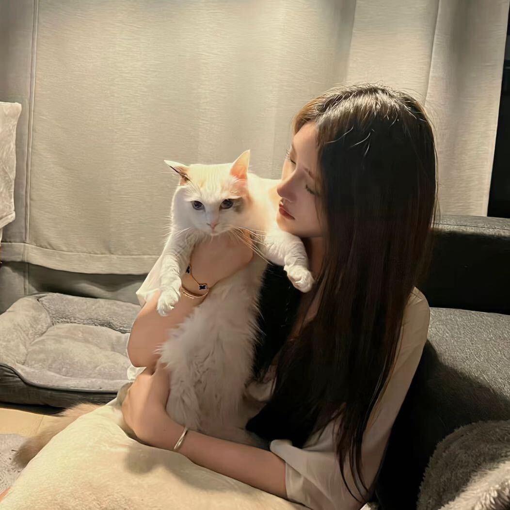 小蛋糕🎀