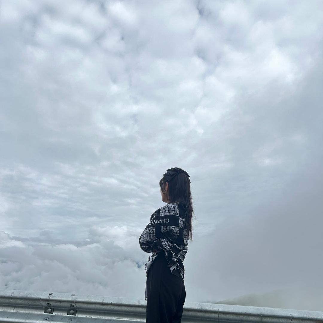 成都鑫崇德农业发展有限公司