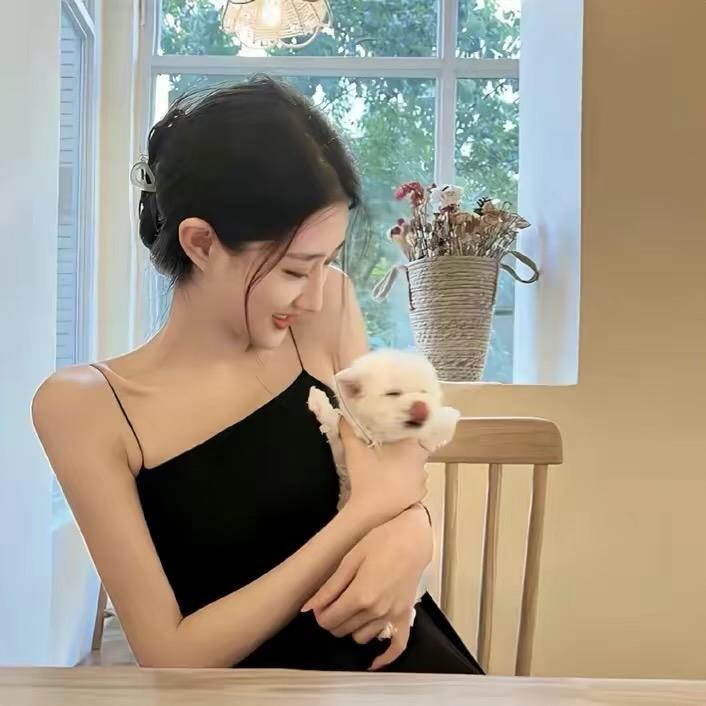 猫猫咪🐱