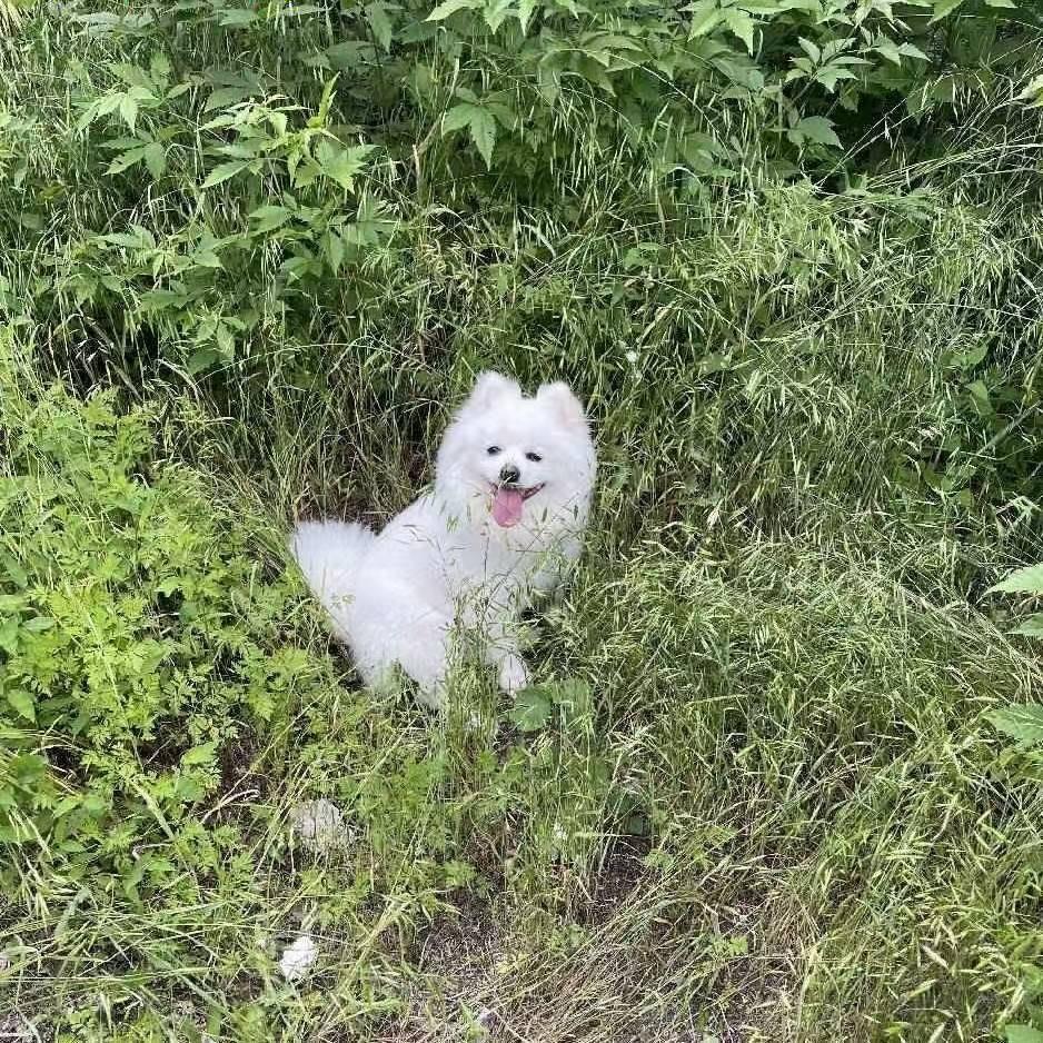 欠款还完就改名