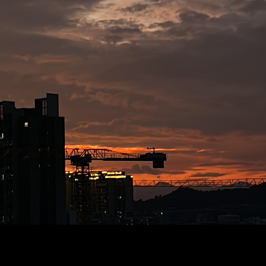 羊羊（首播筹备中）