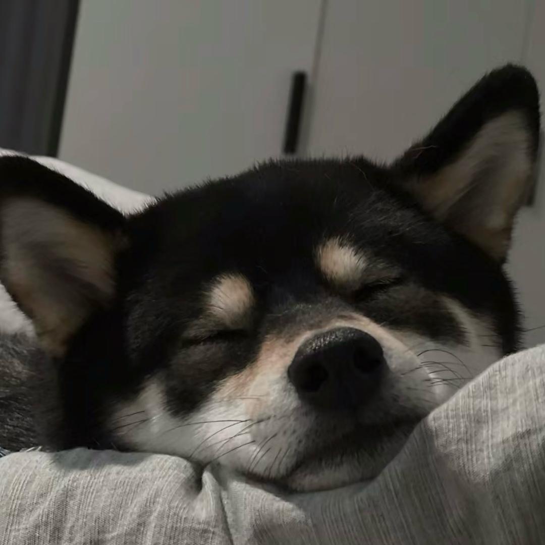 可有可无的网友