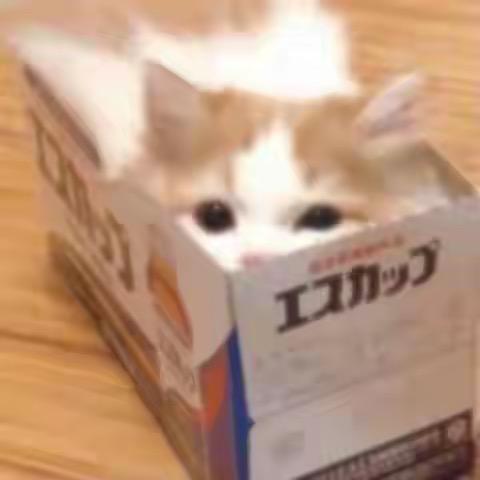 钰钰🔮
