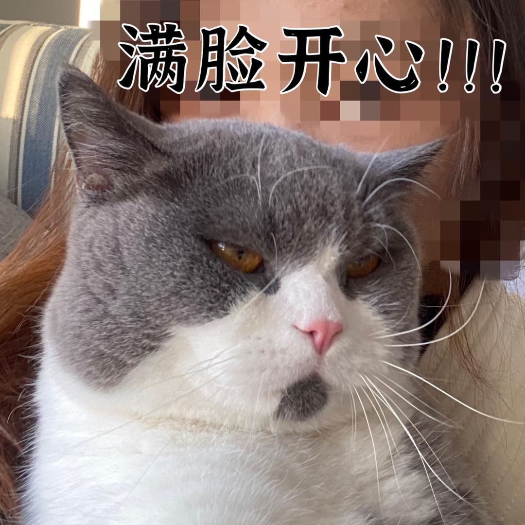 谢胖子