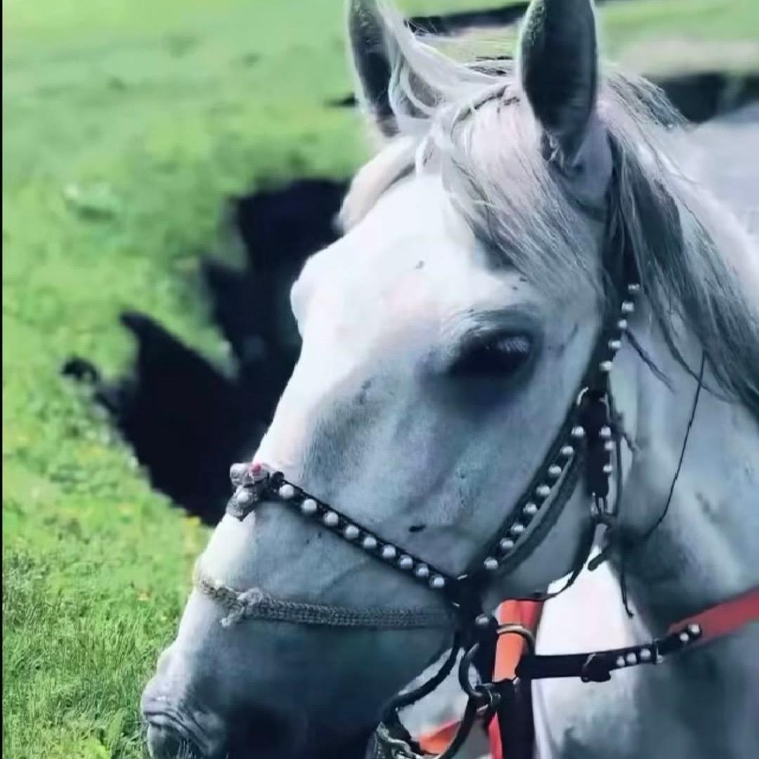 ༊དགྲ་ལྷ།🥷🏽