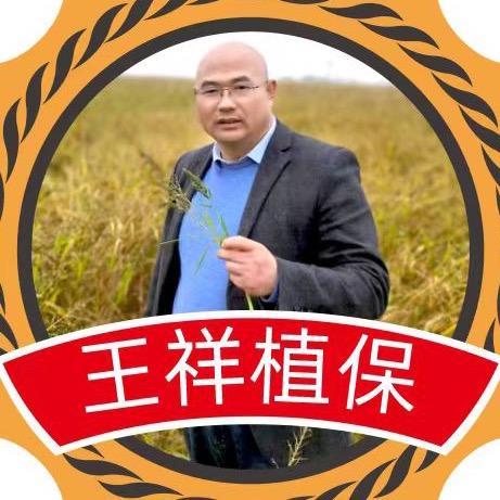 王祥植保《商品在橱窗》