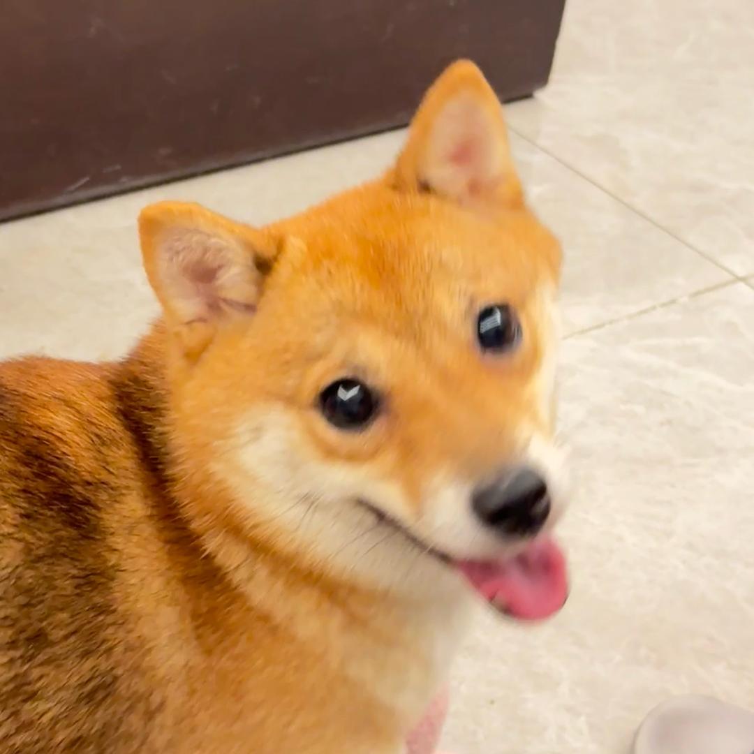 阿松Asong