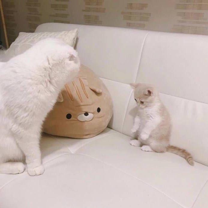 你开心了么