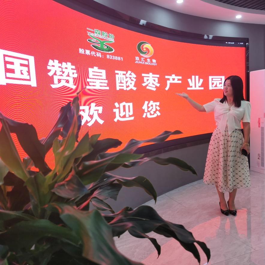太行酸枣一姐