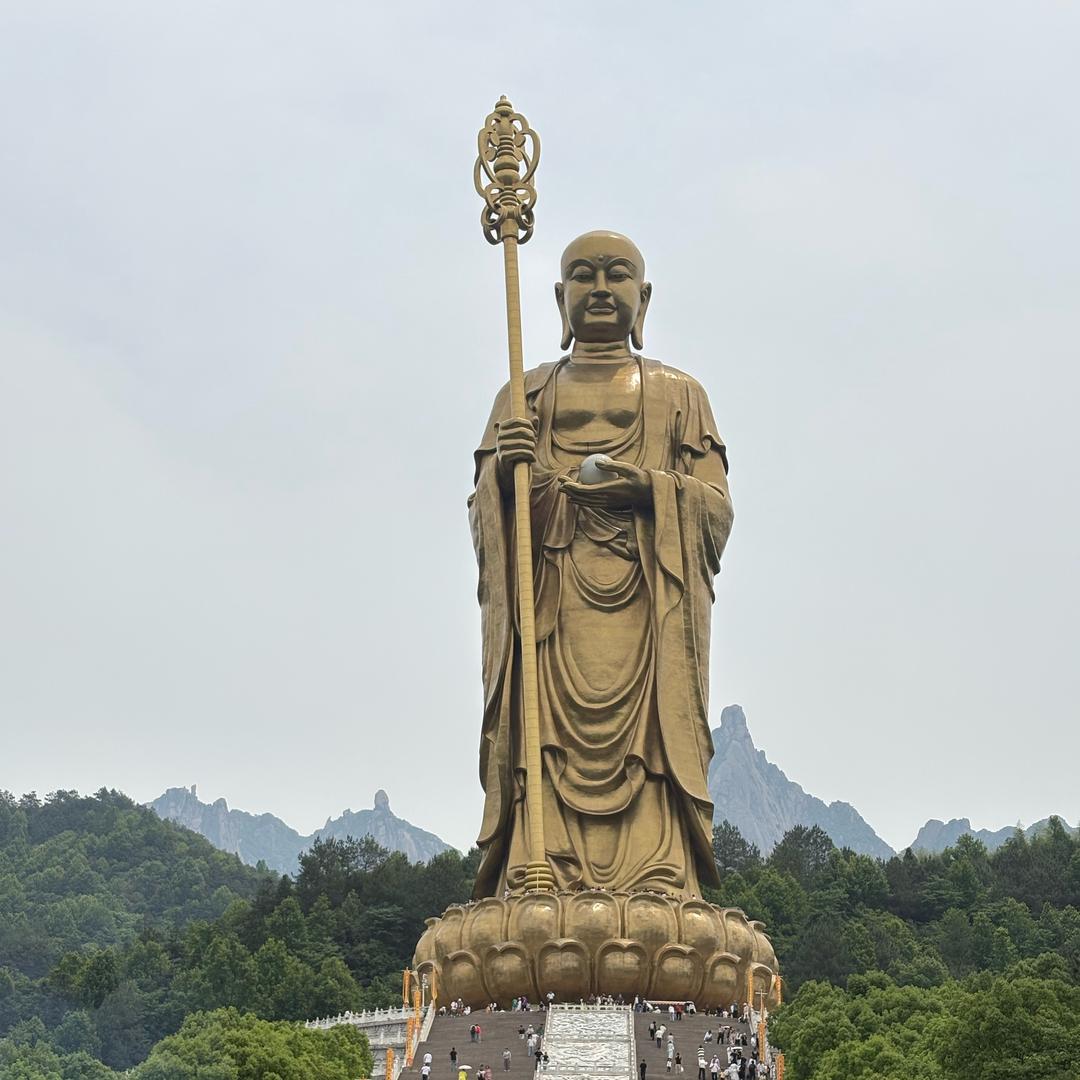 百年草木奇缘