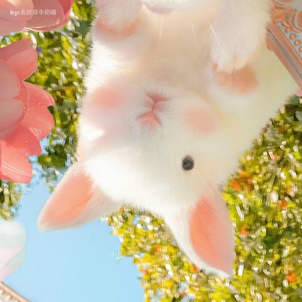 冉冉孤生竹