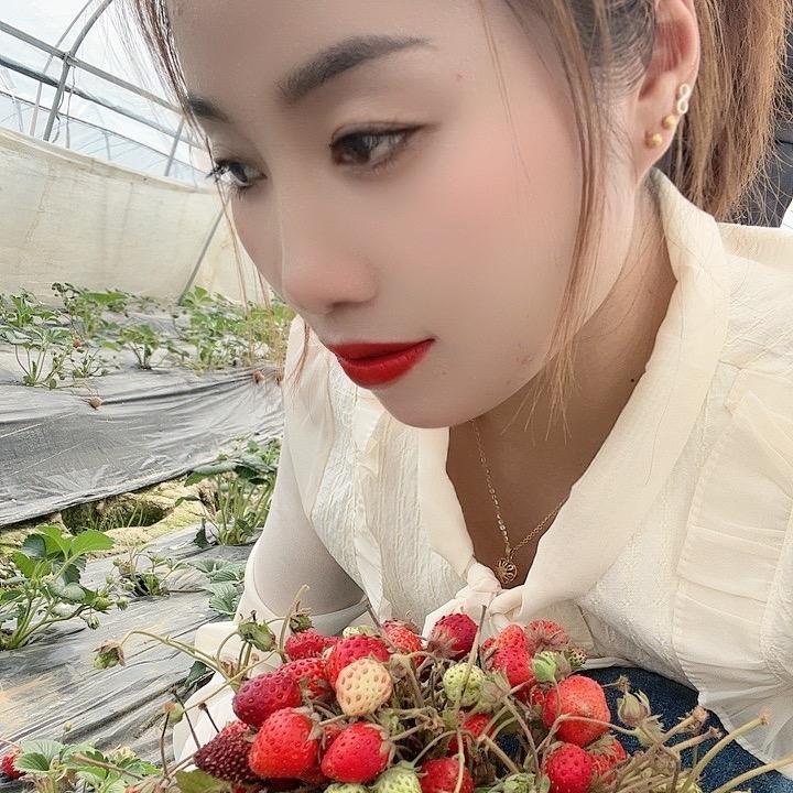 🥀丢了💘幸福的🐷