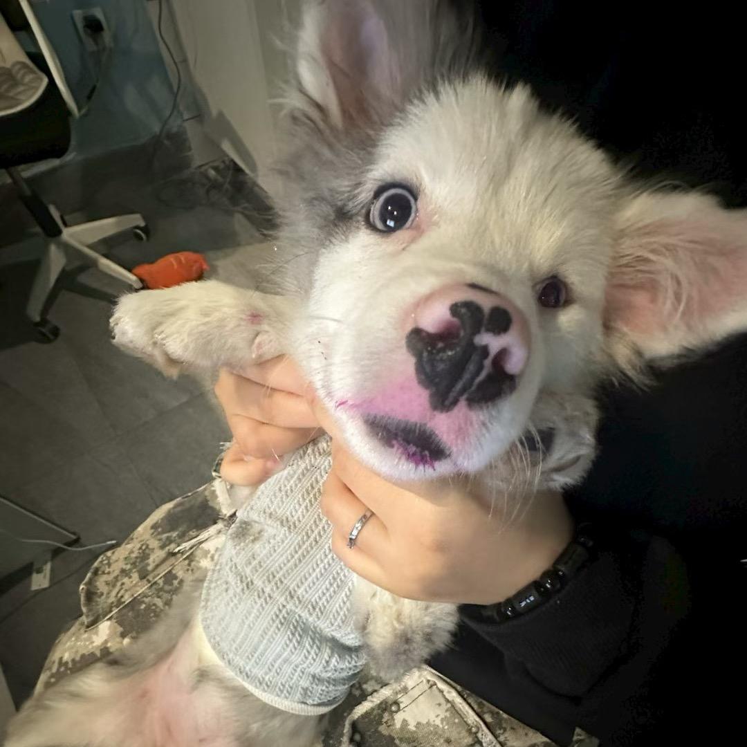 Y.Y