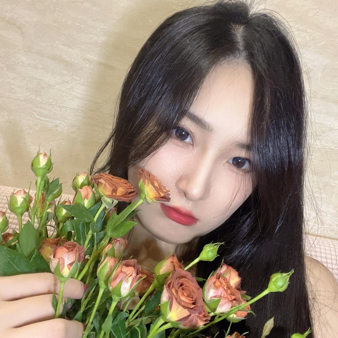 桃酥超难哄✈️