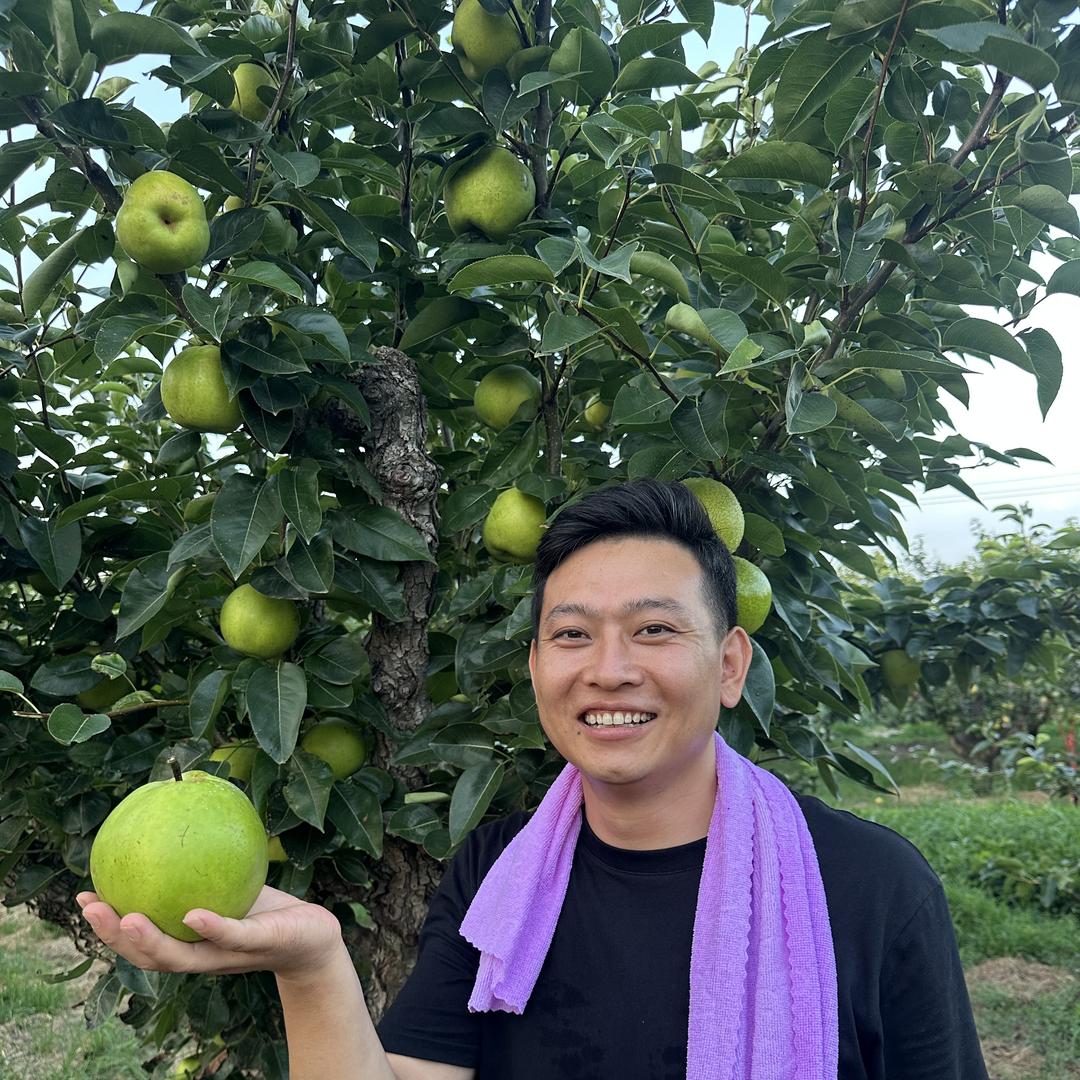 四季青果园农场