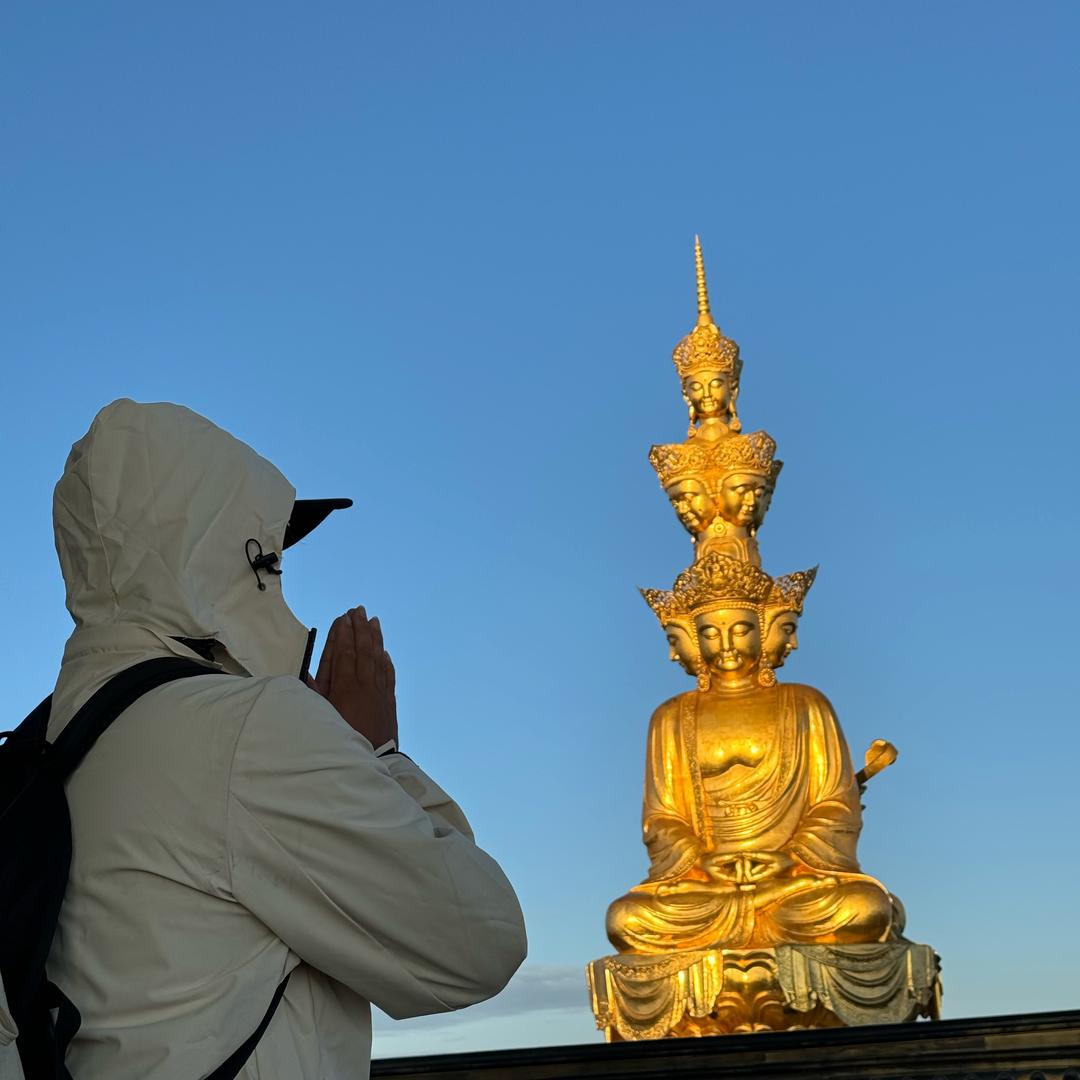 蓝桉已遇释槐鸟