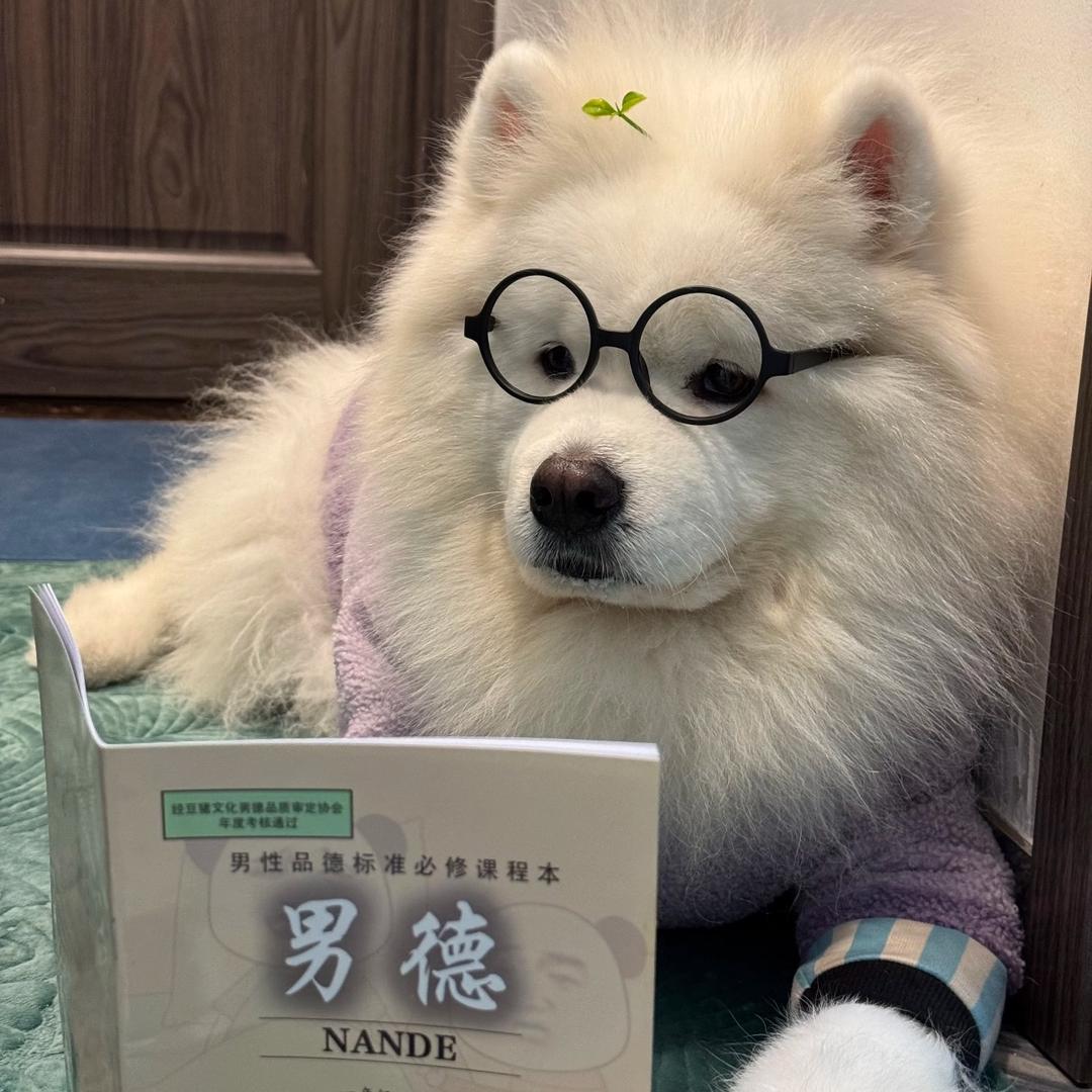 莫林的蘑菇