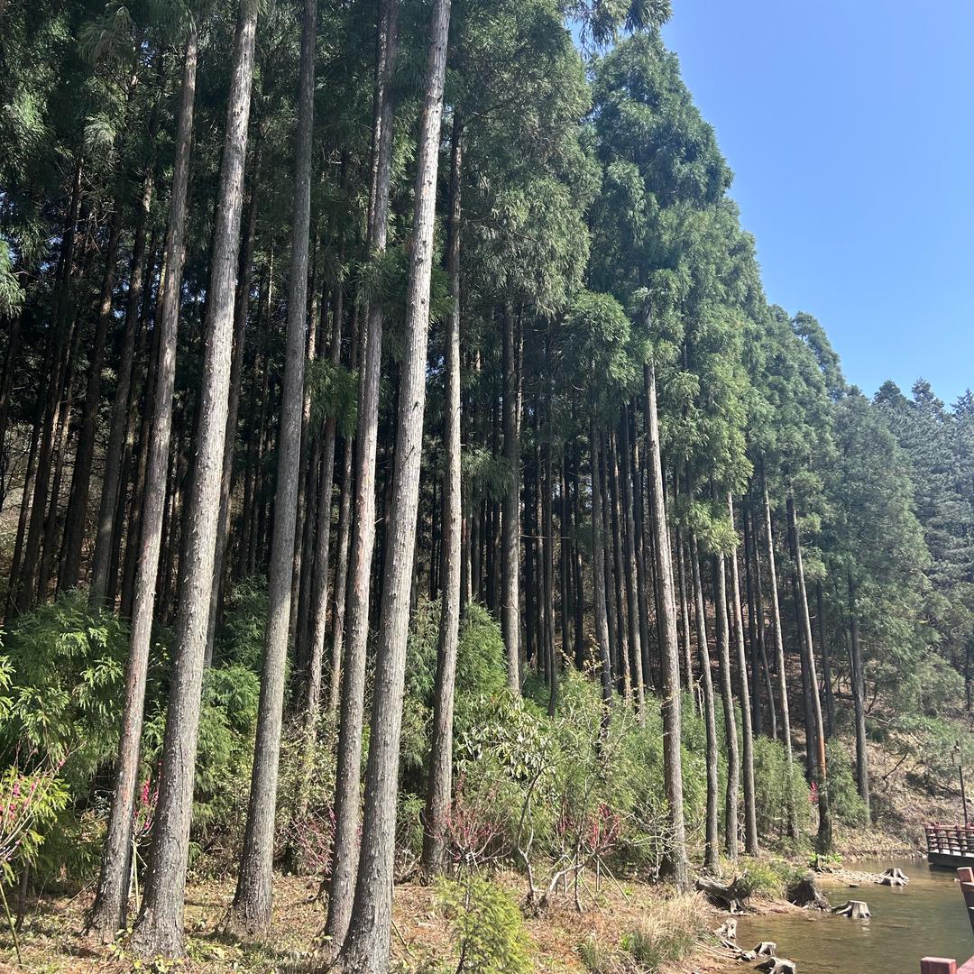 胡姐爱生活爱永不止息