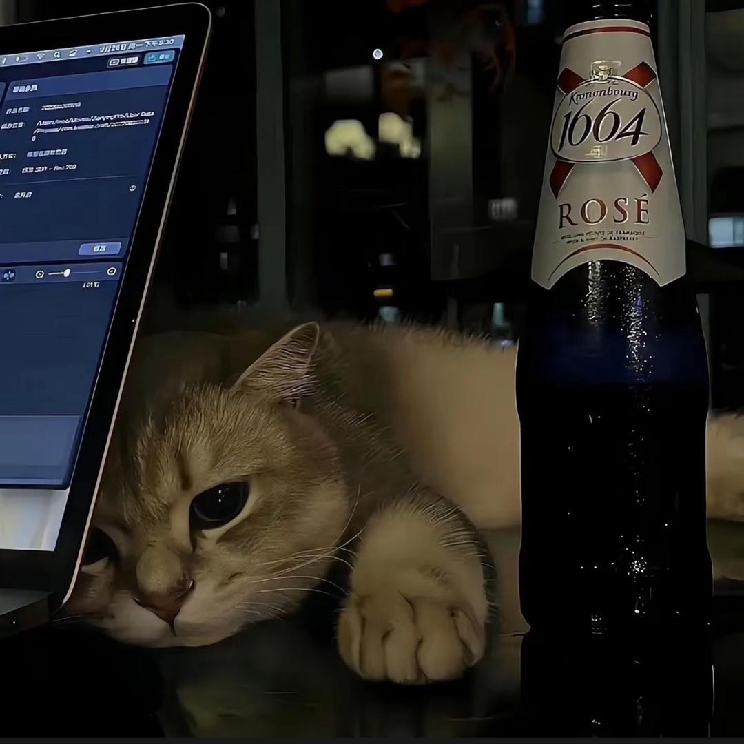 一切因为梅气🫙🙇🏻‍♂️