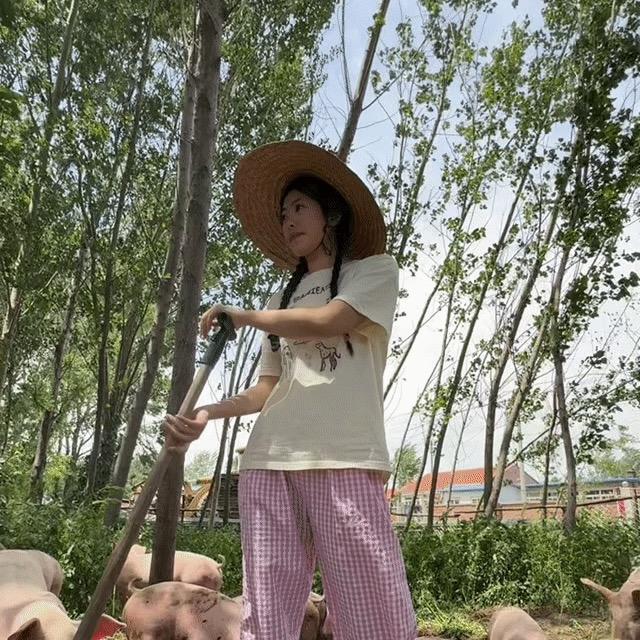 丹丹的笨鹅蛋