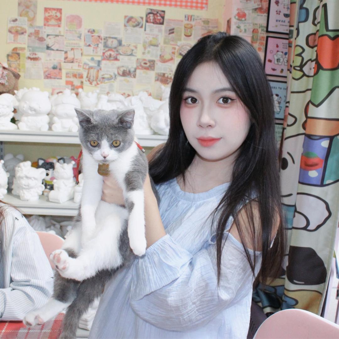 子午线