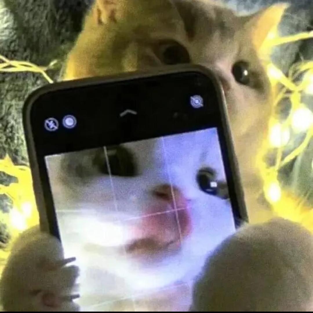 渴望好的睡眠
