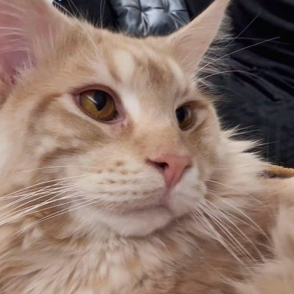 小温 ๑⃙⃘´༥`๑⃙⃘