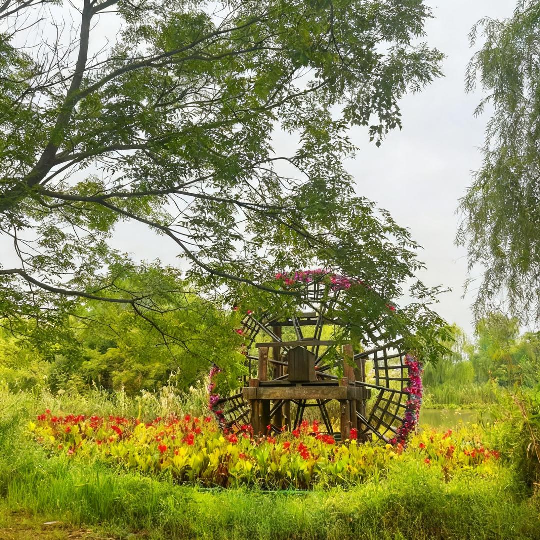 巡抚