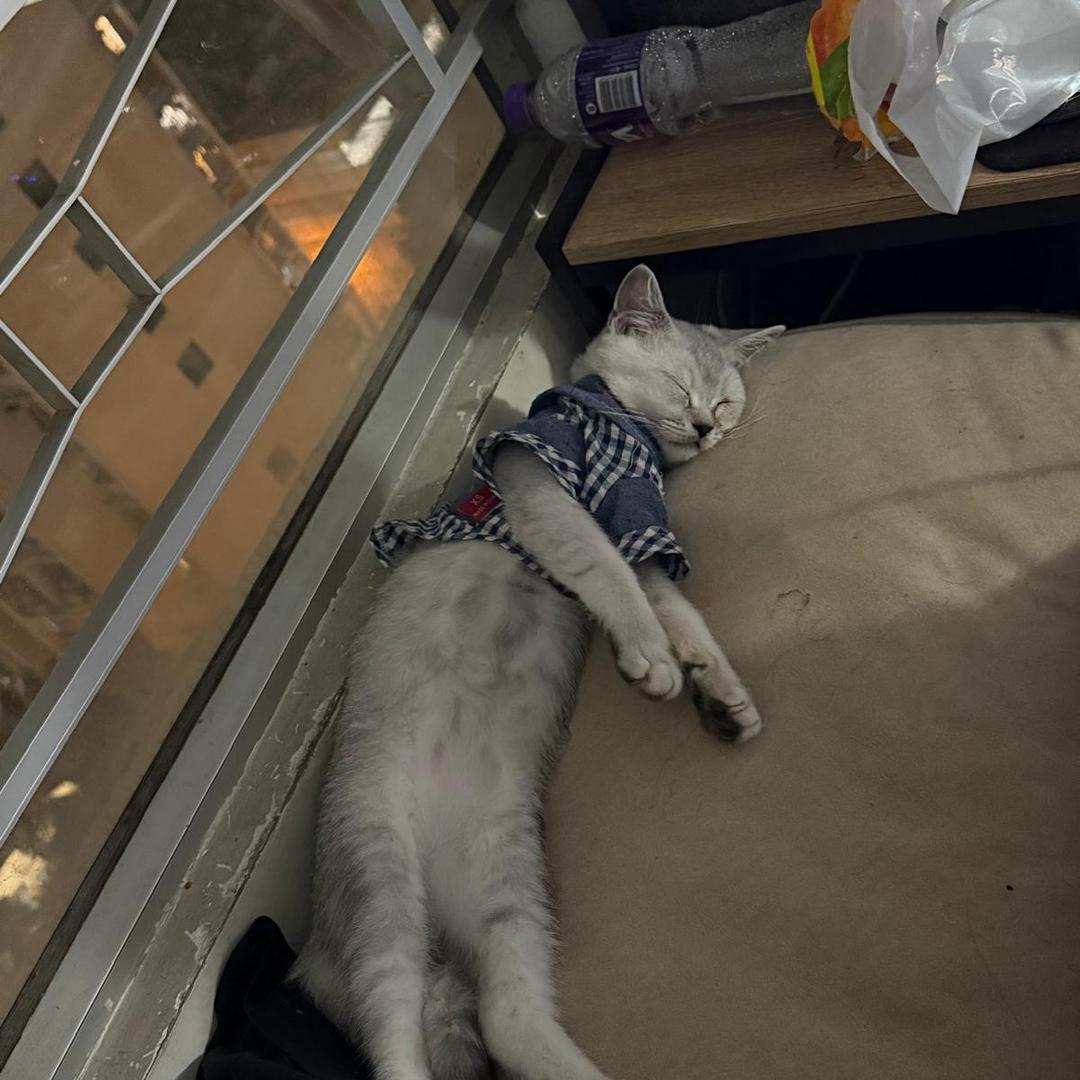 😅春雨