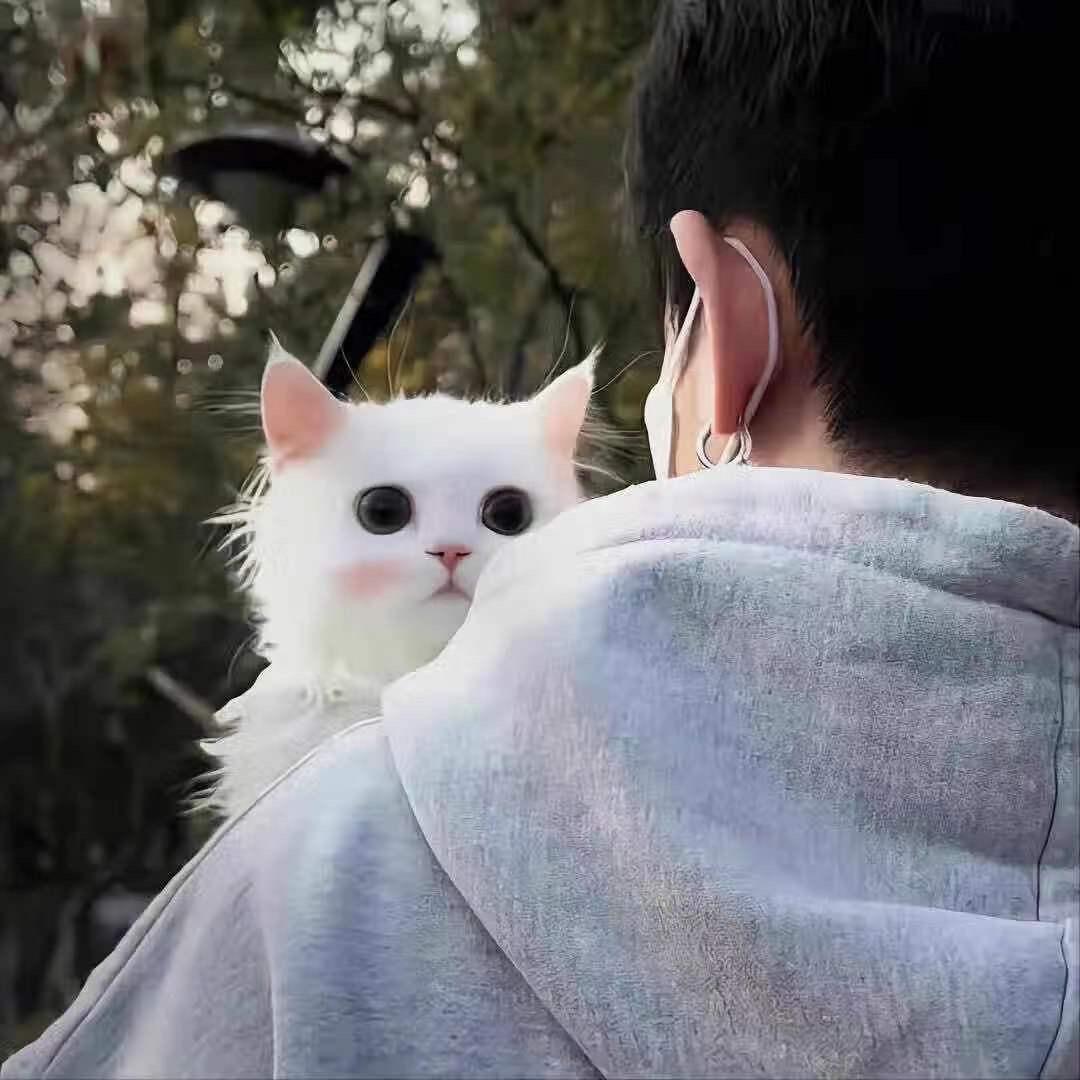 浅梦