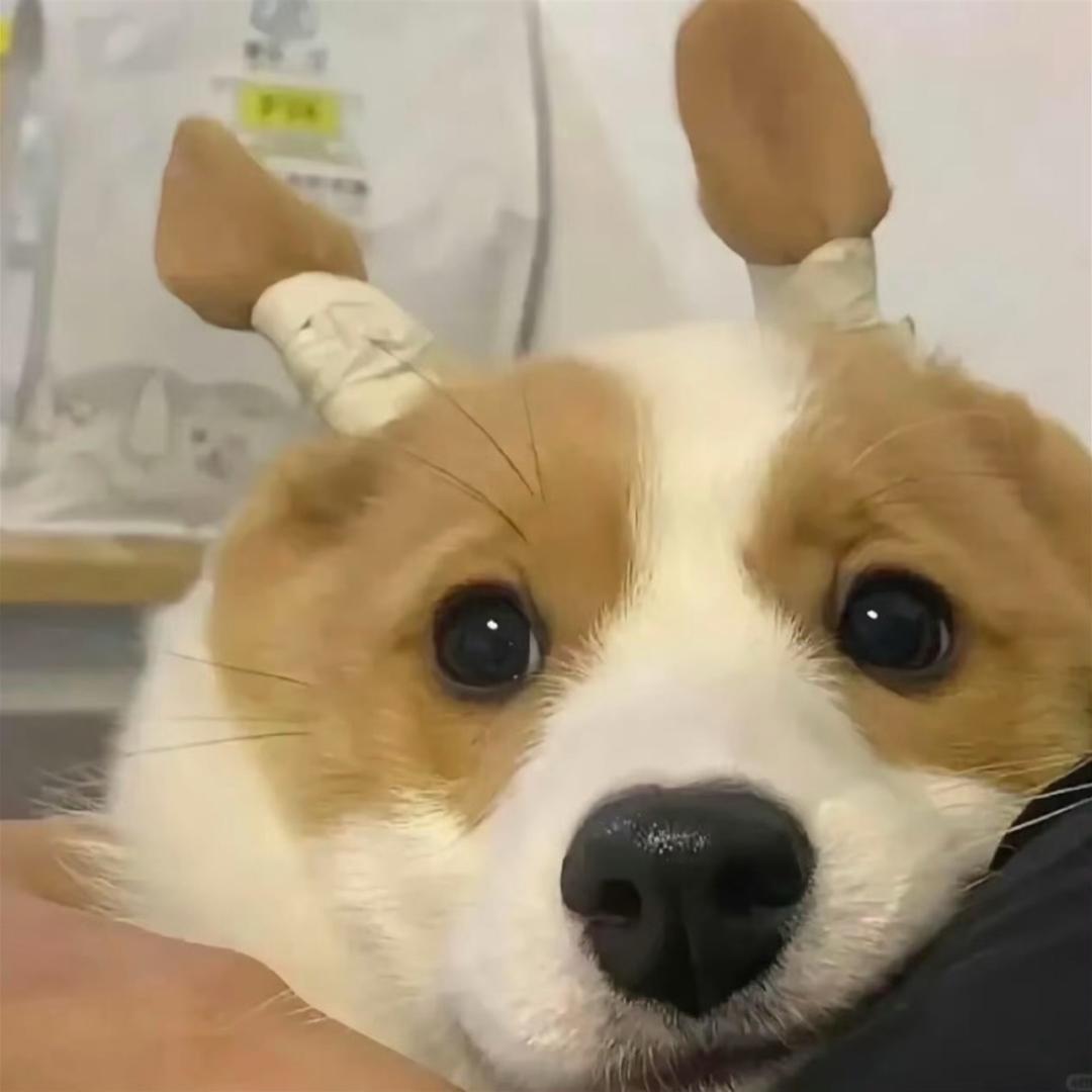 关我屁事关你屁事