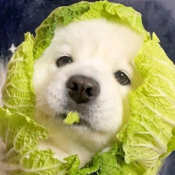 胖小虎