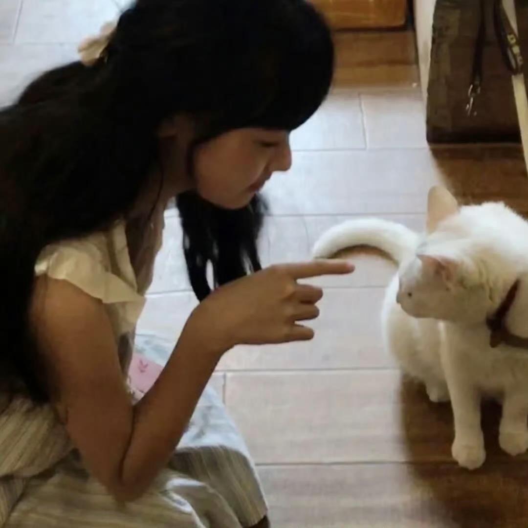 鸡翅/
