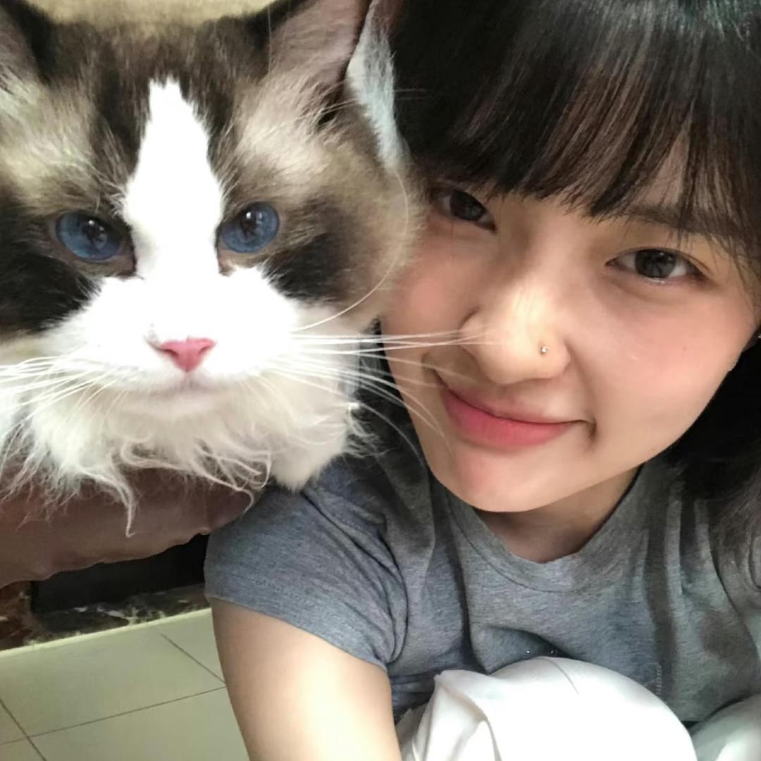 暴躁小狮子