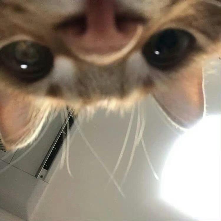 7hooiii