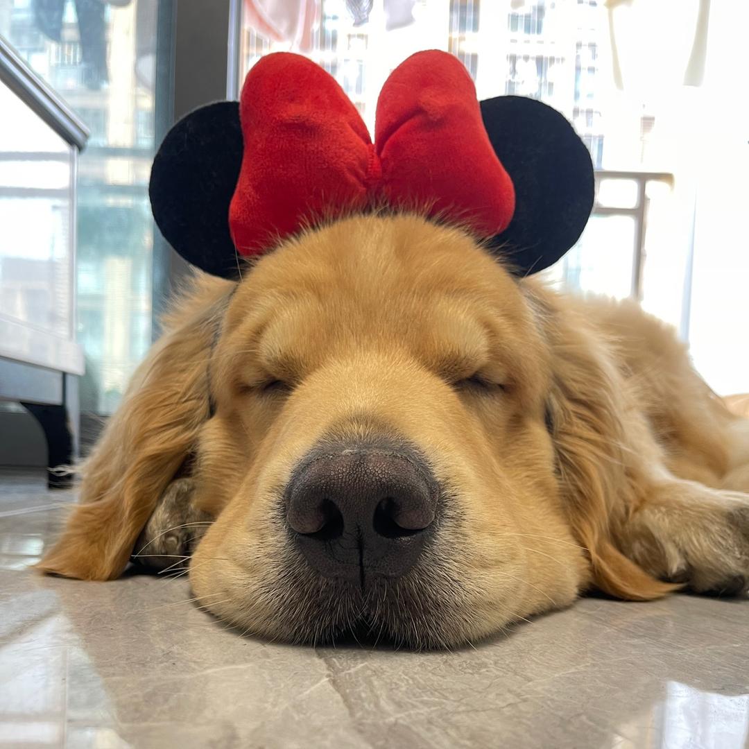 旺仔今天挨打了吗