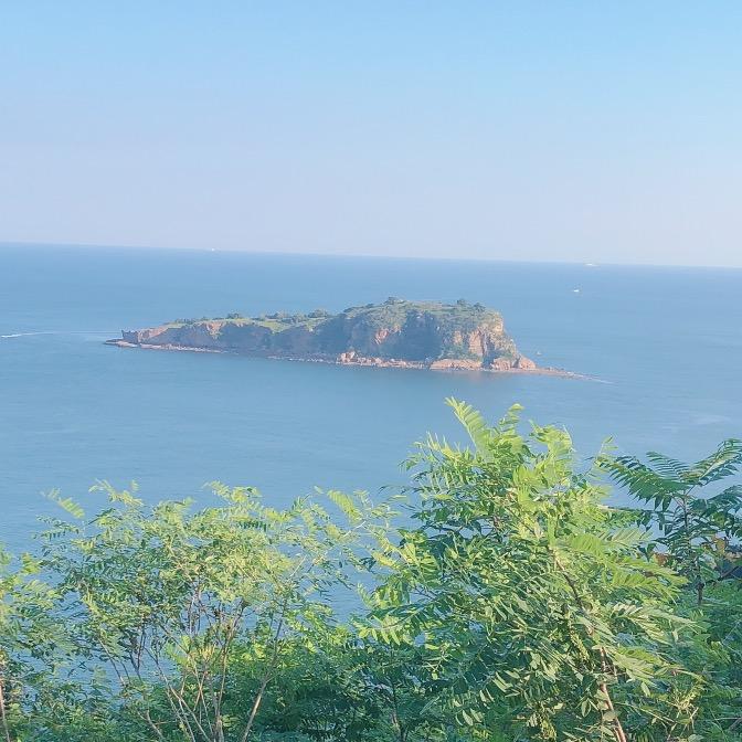 楠姐