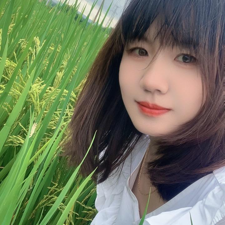 小蔡一碟