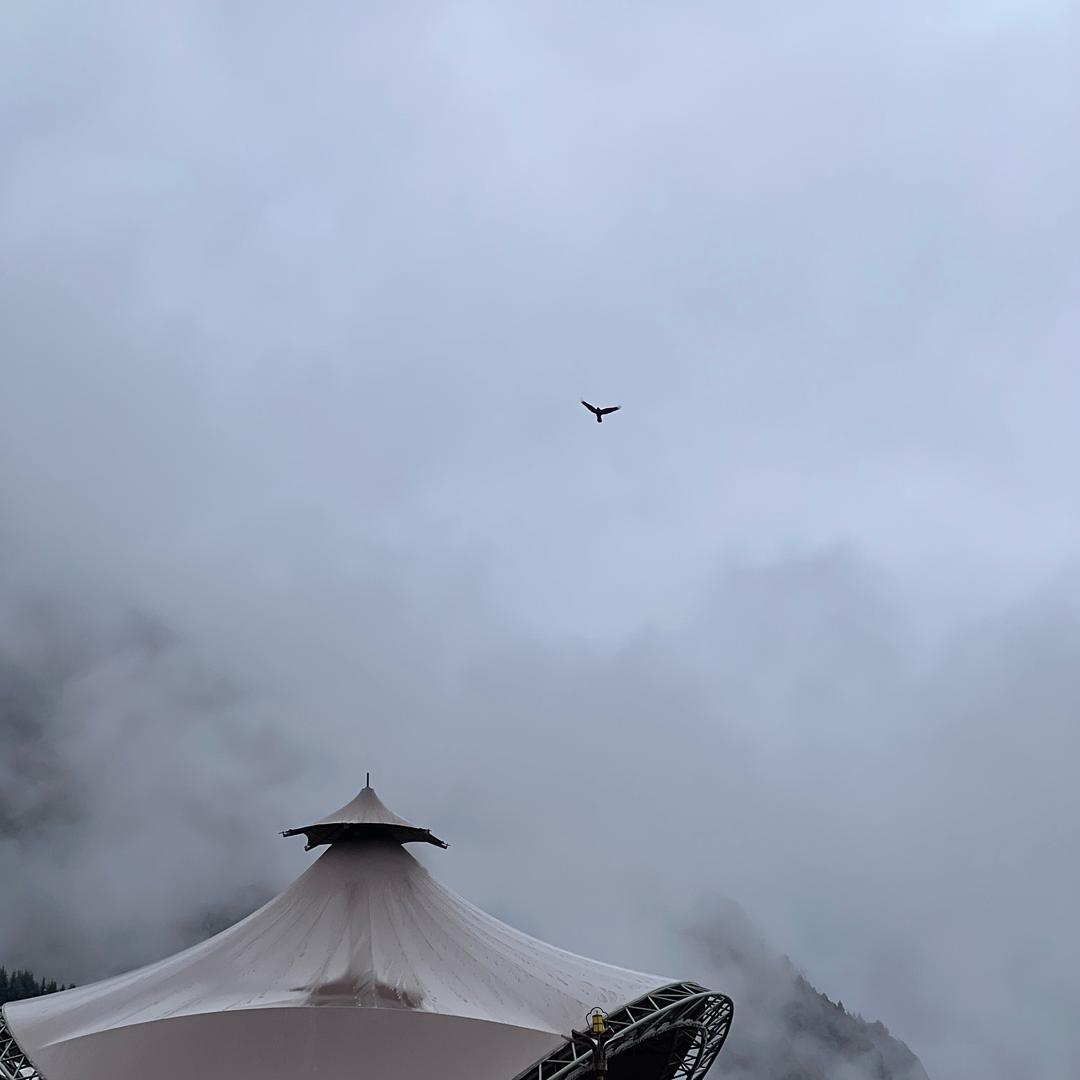 晚舟