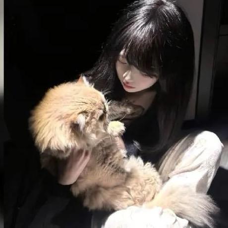 ^呆小猫^
