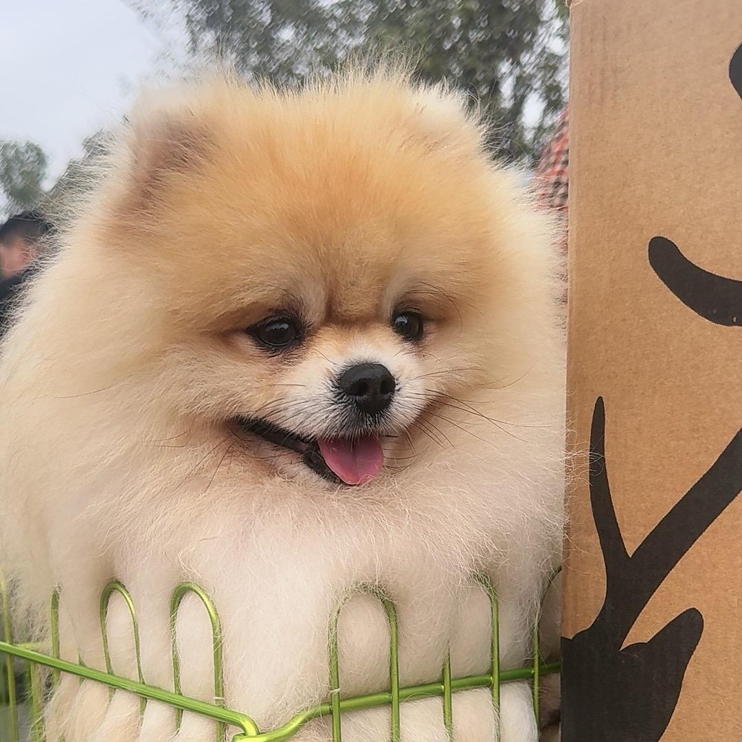 乐  ！乐