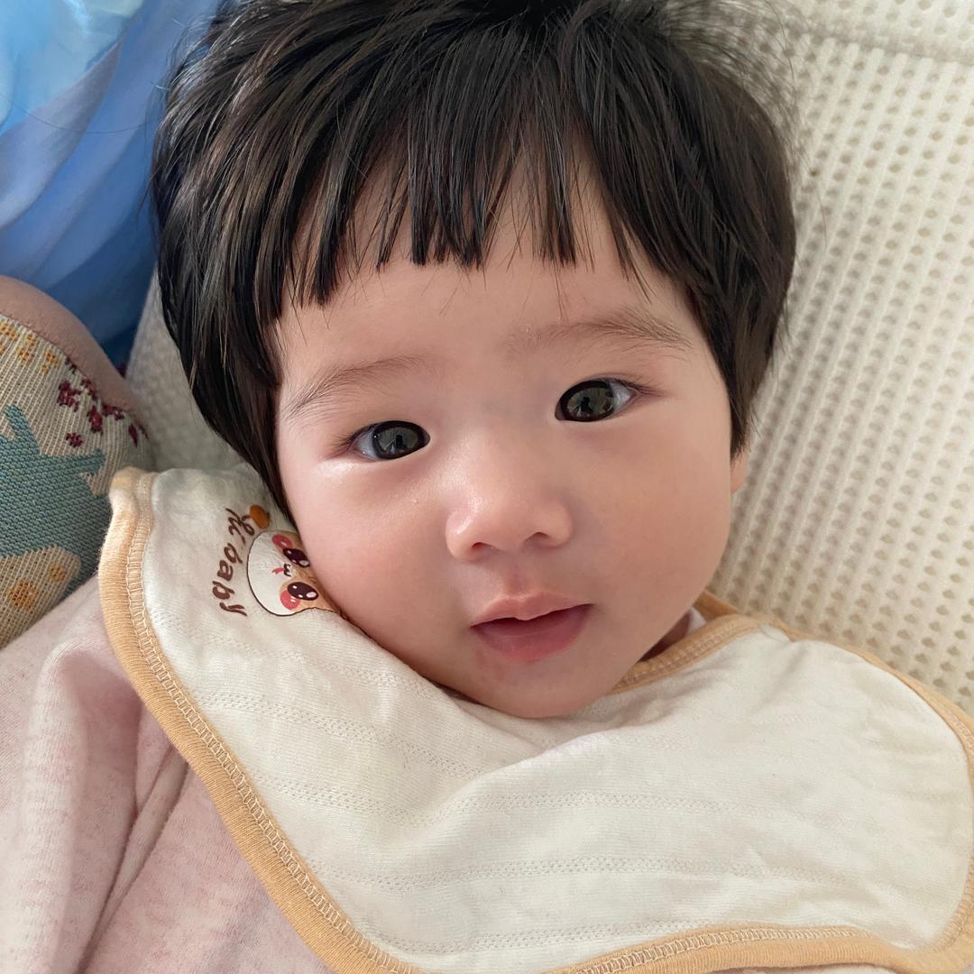 安安🐽（六月龄版）