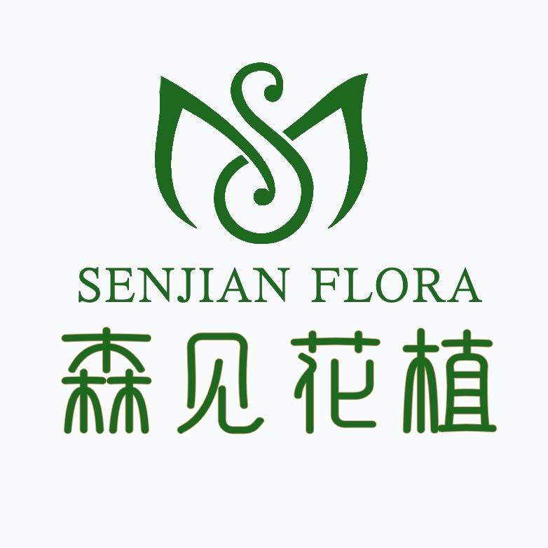 森见花植