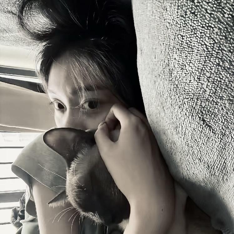 蕋樖.