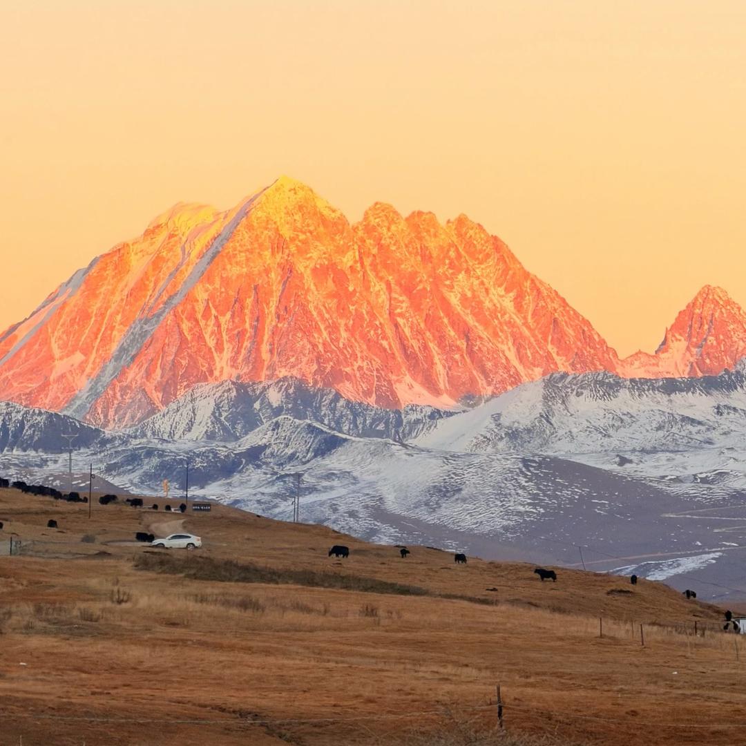 成都租租侠～之成都租房